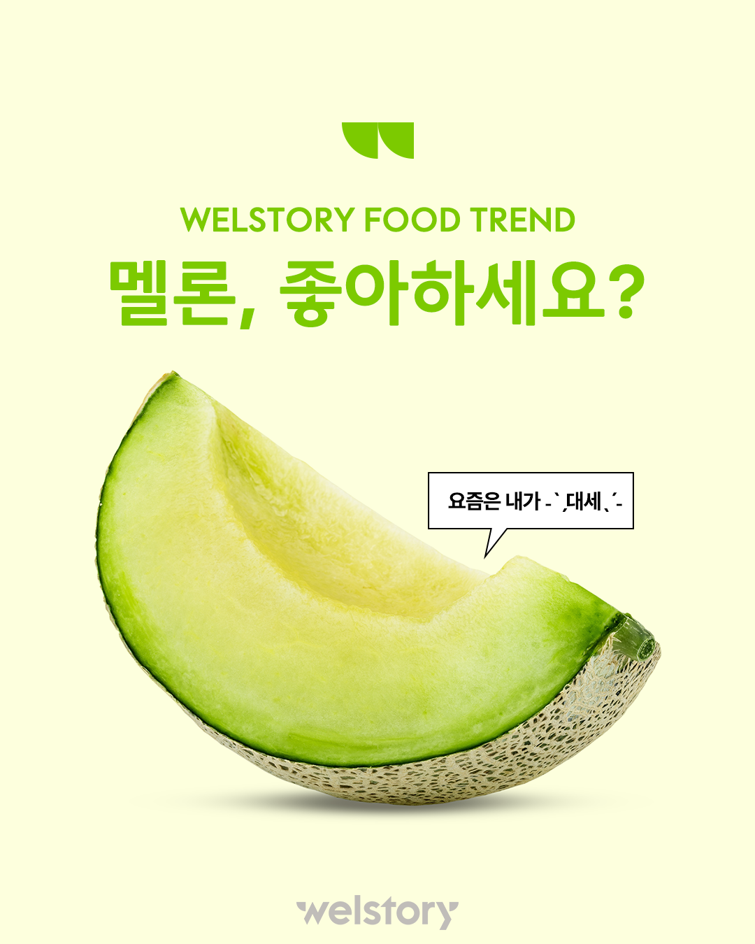 인스타그램 컨텐츠
