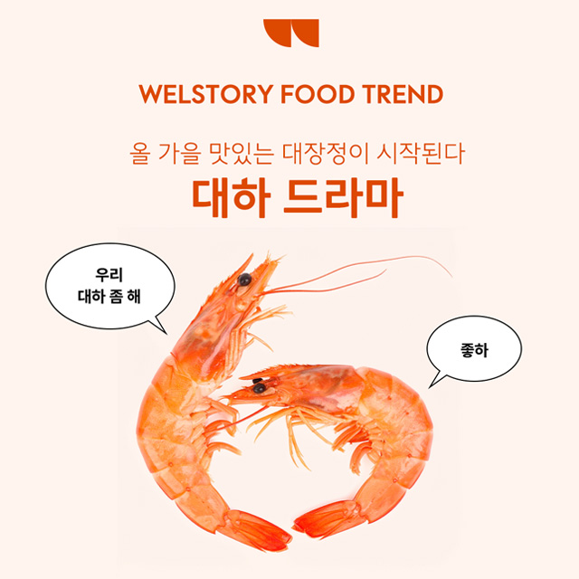 인스타그램 컨텐츠