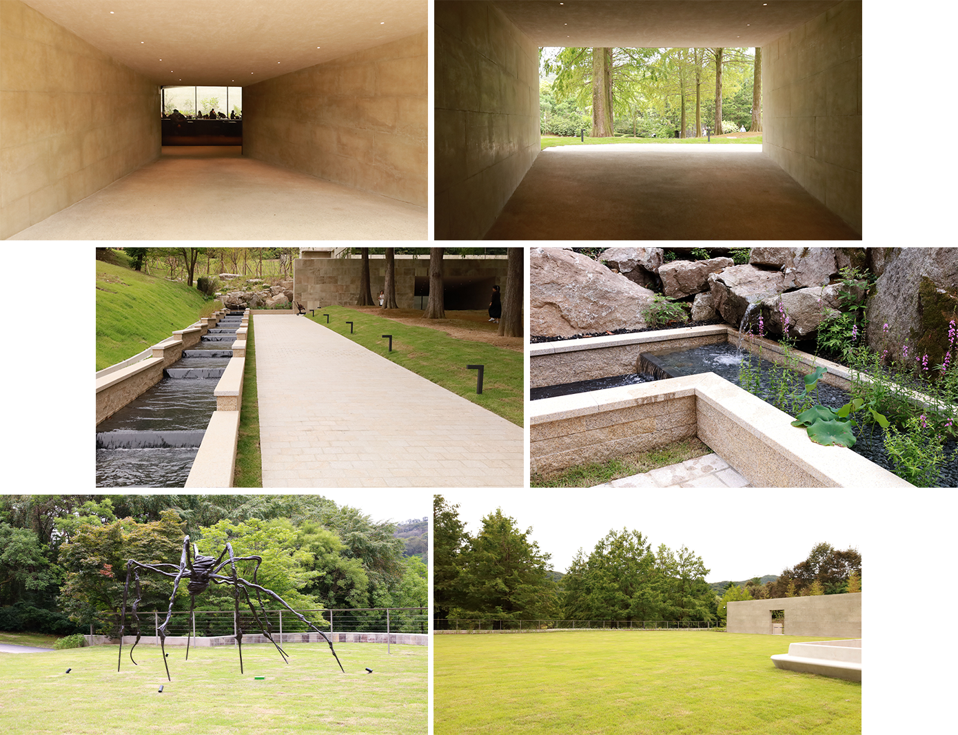 호암카페, 정영선 조경가, 정영선 조경가 작품, 김남건축