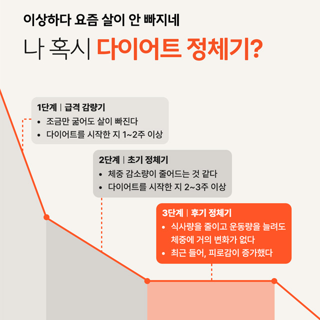 인스타그램 컨텐츠