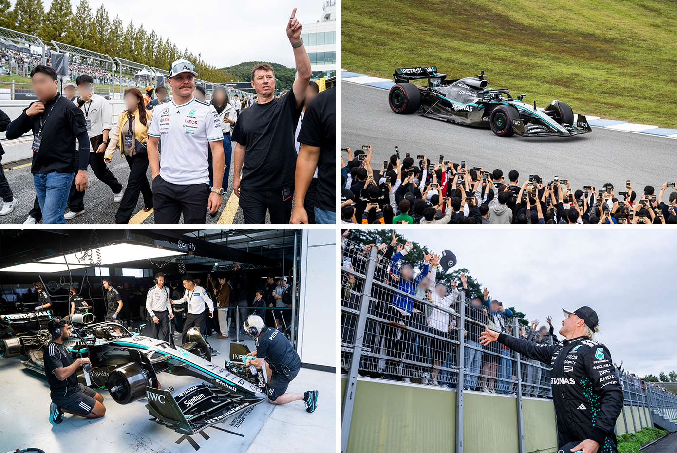 피치스 런 유니버스