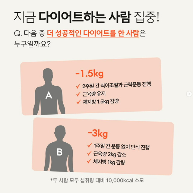 인스타그램 컨텐츠