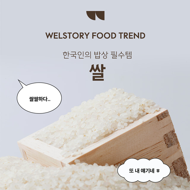 인스타그램 컨텐츠