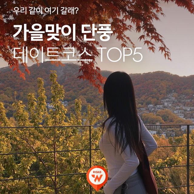 인스타그램 컨텐츠