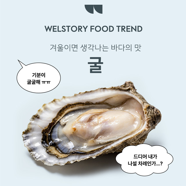 인스타그램 컨텐츠