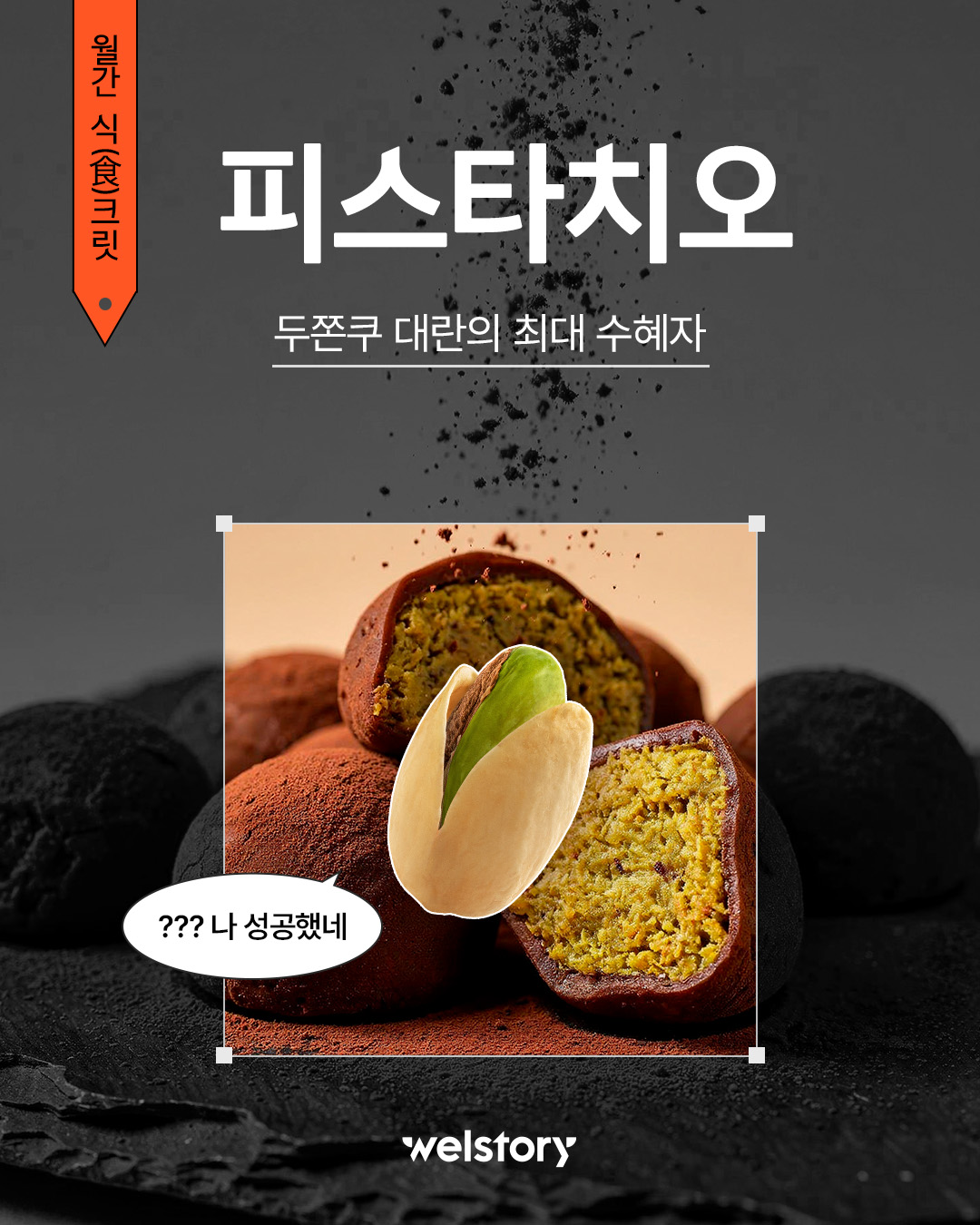 인스타그램 컨텐츠