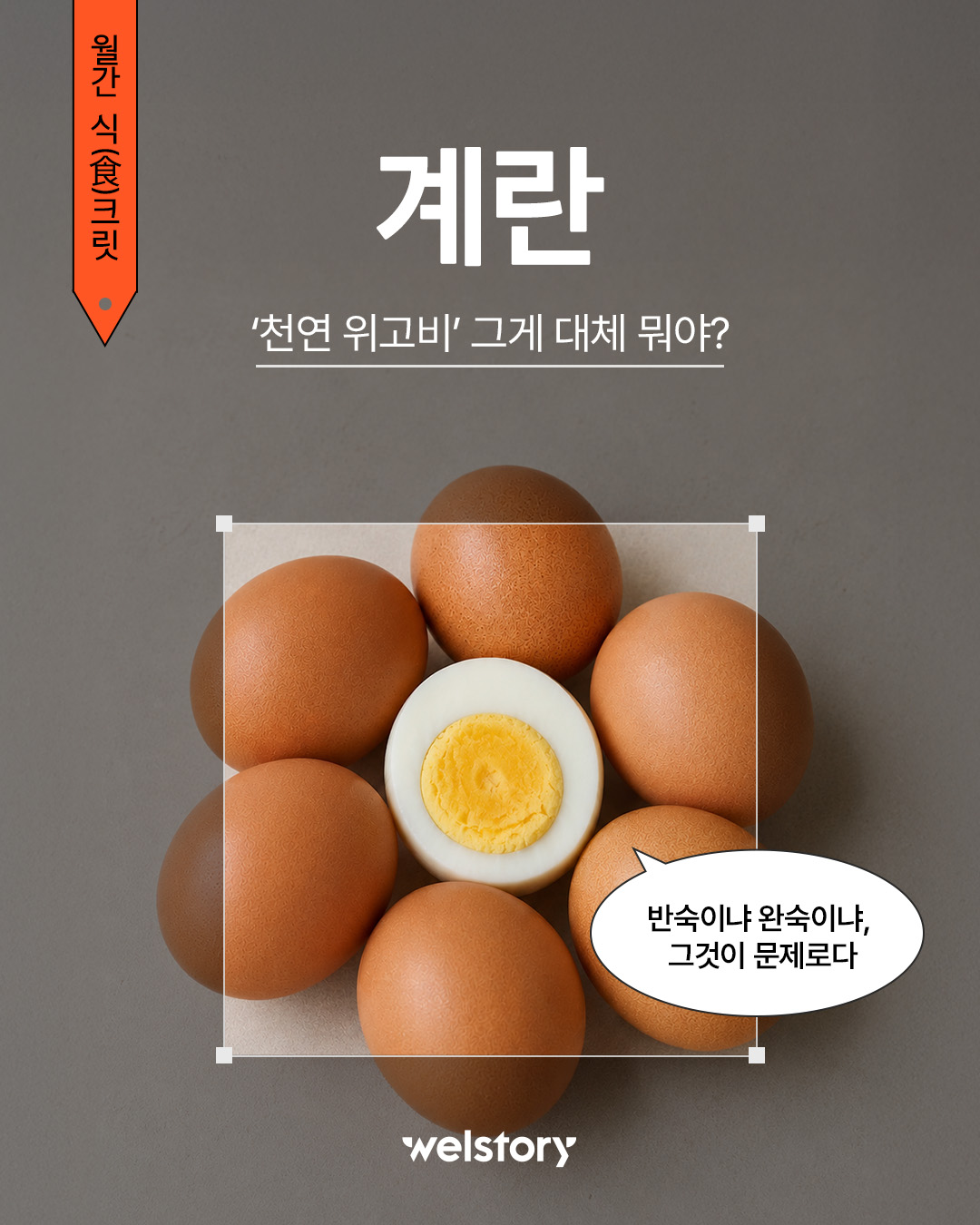 [월간 식크릿 6월] 이게 내 천연 위고비다...!