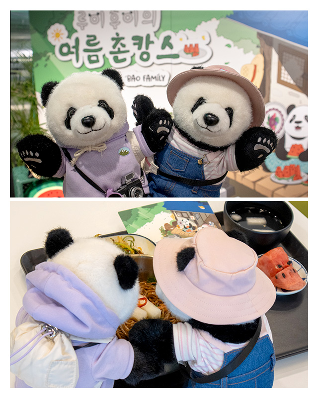 이미지1