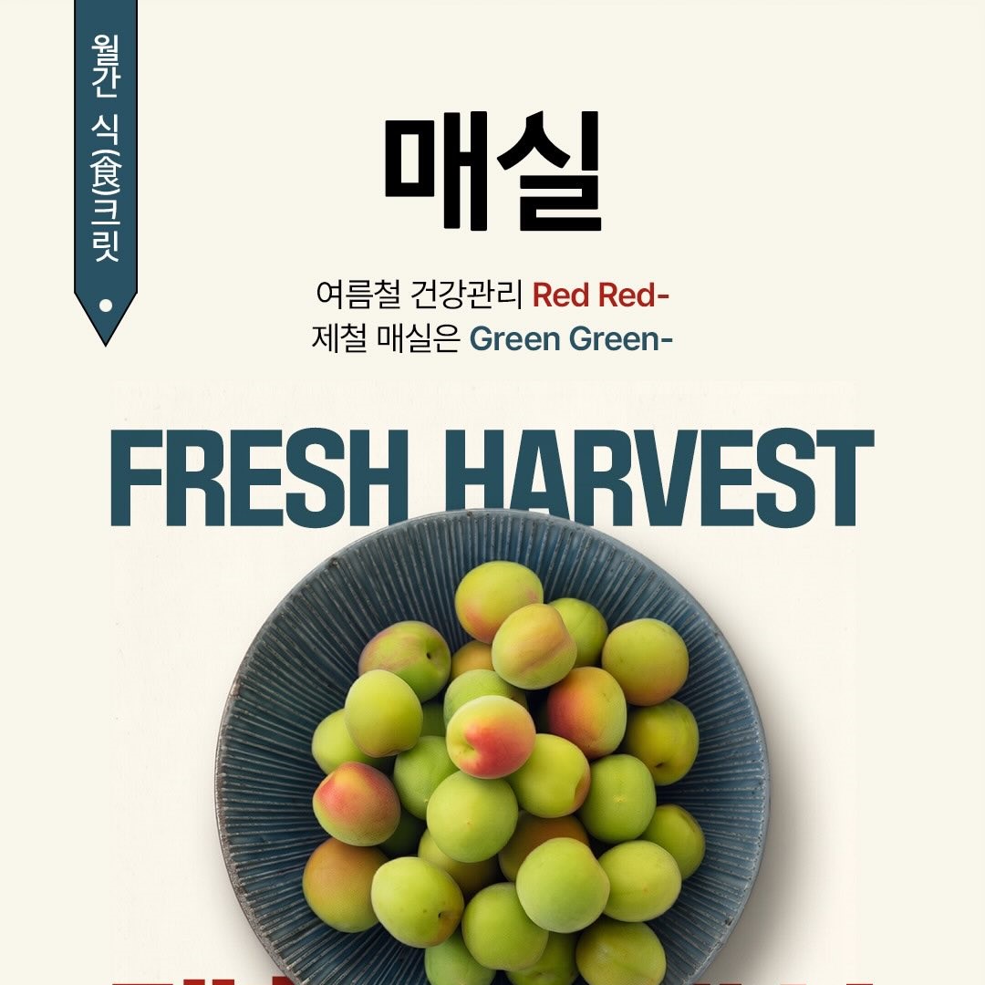 [월간 식크릿 6월] 새콤달콤 매실 편