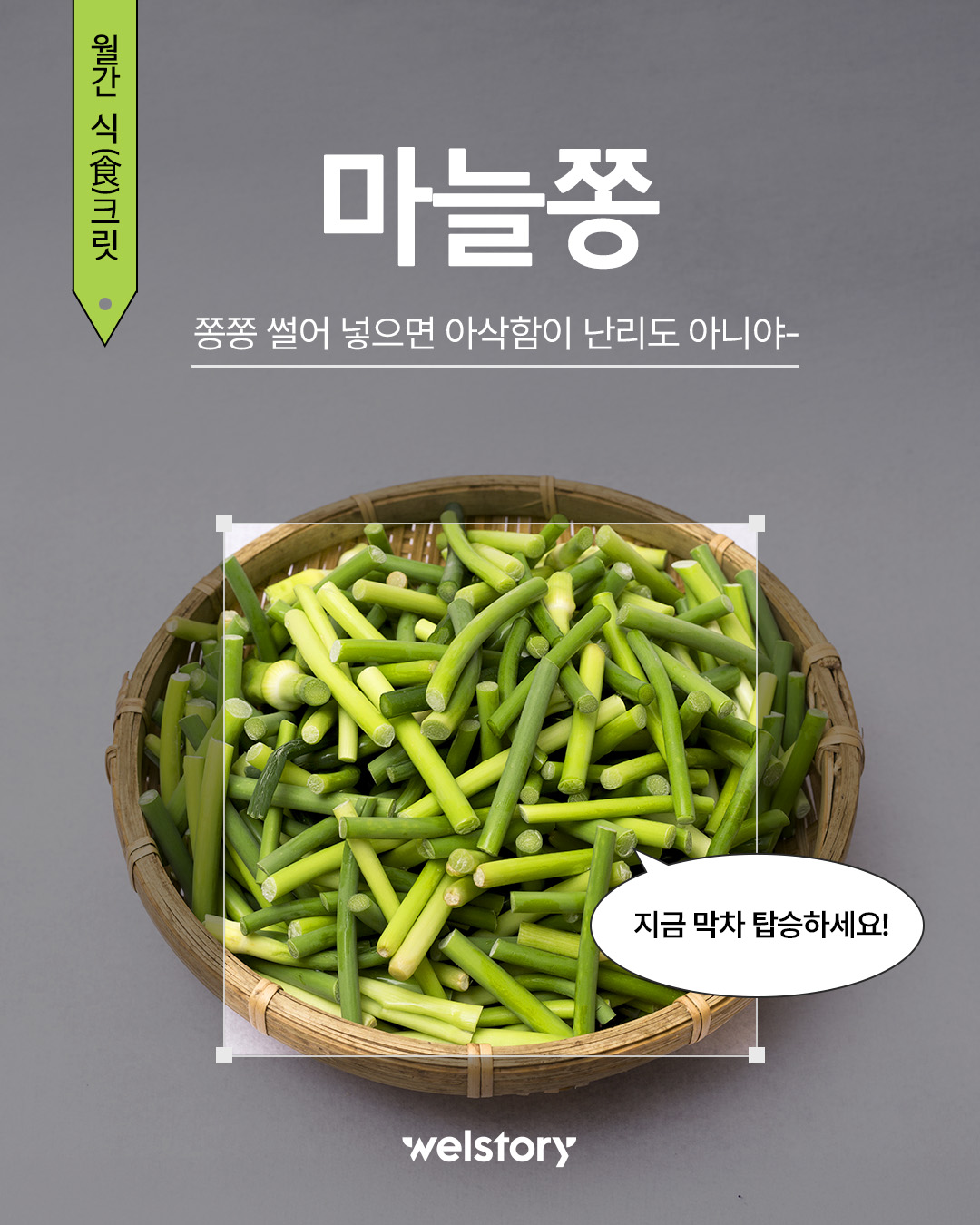 [월간 식크릿 7월] 마늘쫑 편