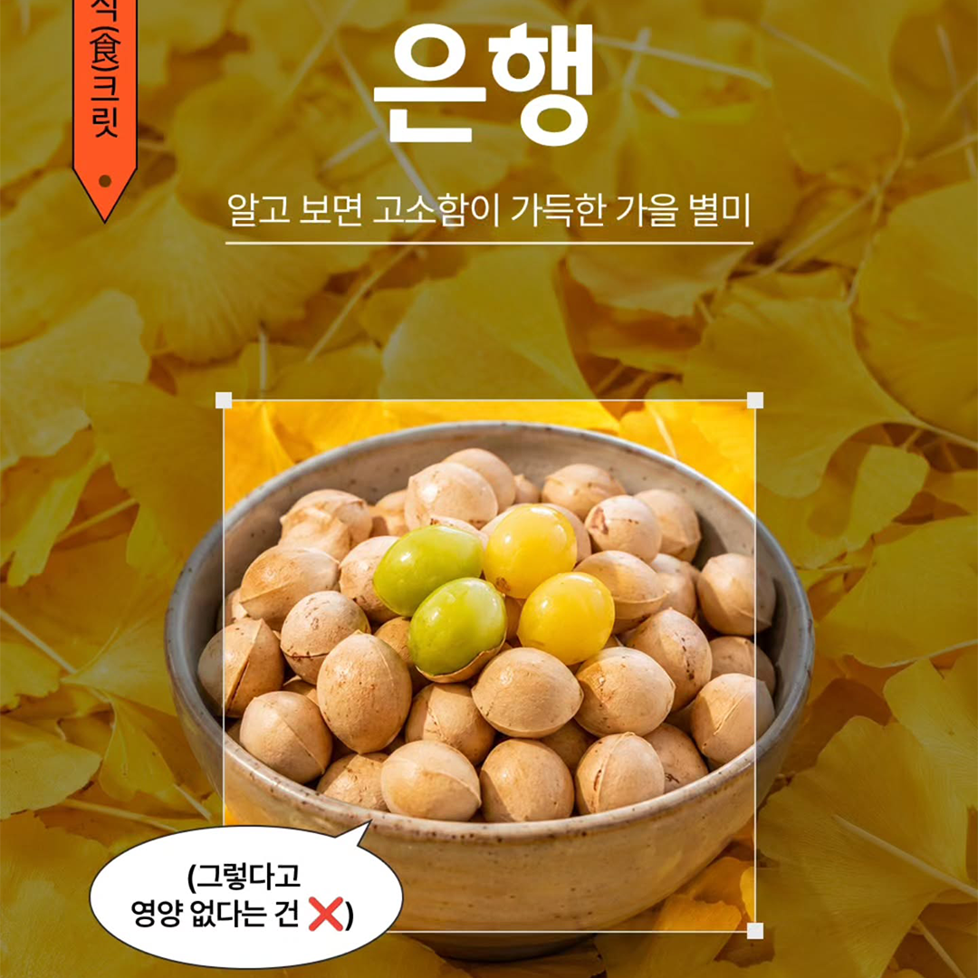 [월간 식(食)크릿 - 10월] 냄새는 강해도 맛은 고소한 가을 열매가 있다?
